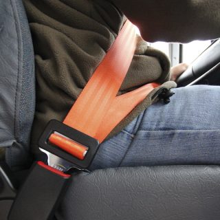 school bus driver seat belt for sale