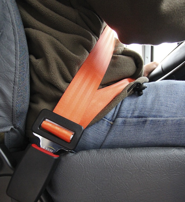 Bus Driver Seat Belts Immi