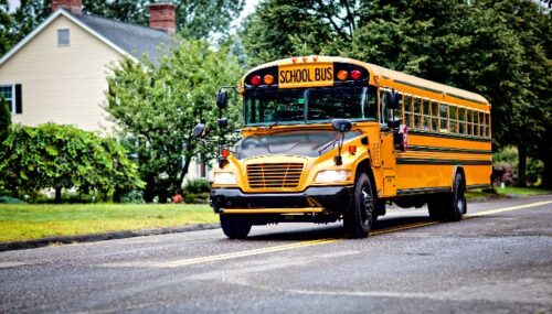 School & Transit Bus